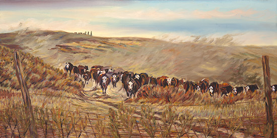 Coming Home to Burney Canyon